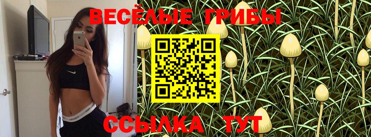 Галлюциногенные грибы ЛСД Владивосток