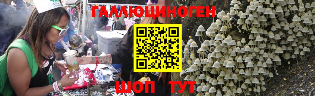 Галлюциногенные грибы MAGIC MUSHROOMS  Вход с VPN  Владивосток 
